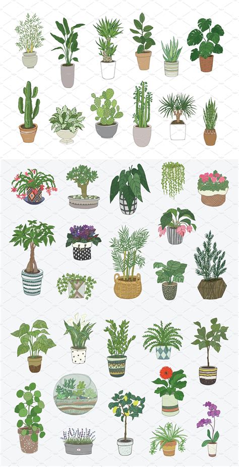 Printable Plant Art
